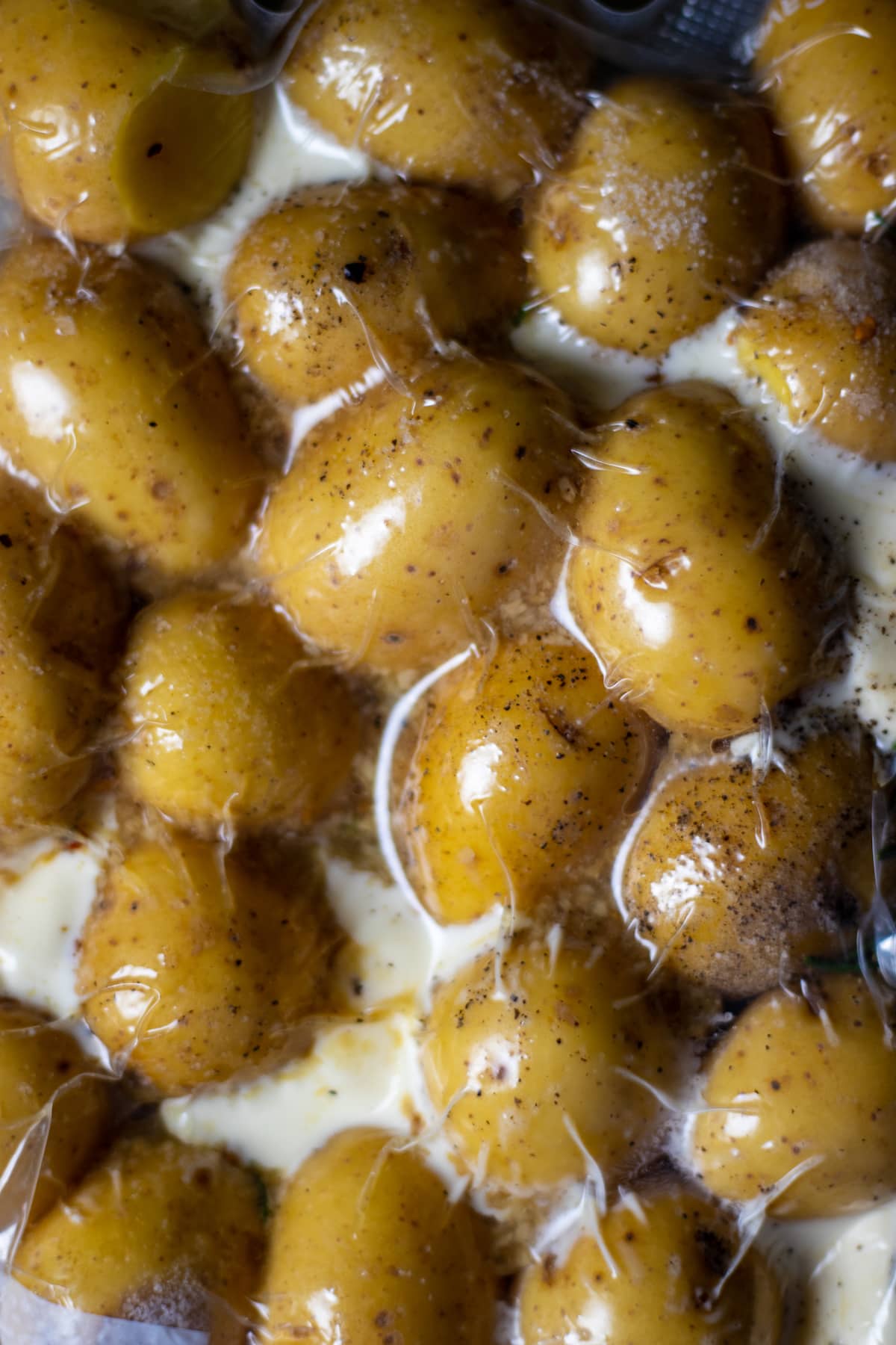 potatoes in a vacuum sealed bag.