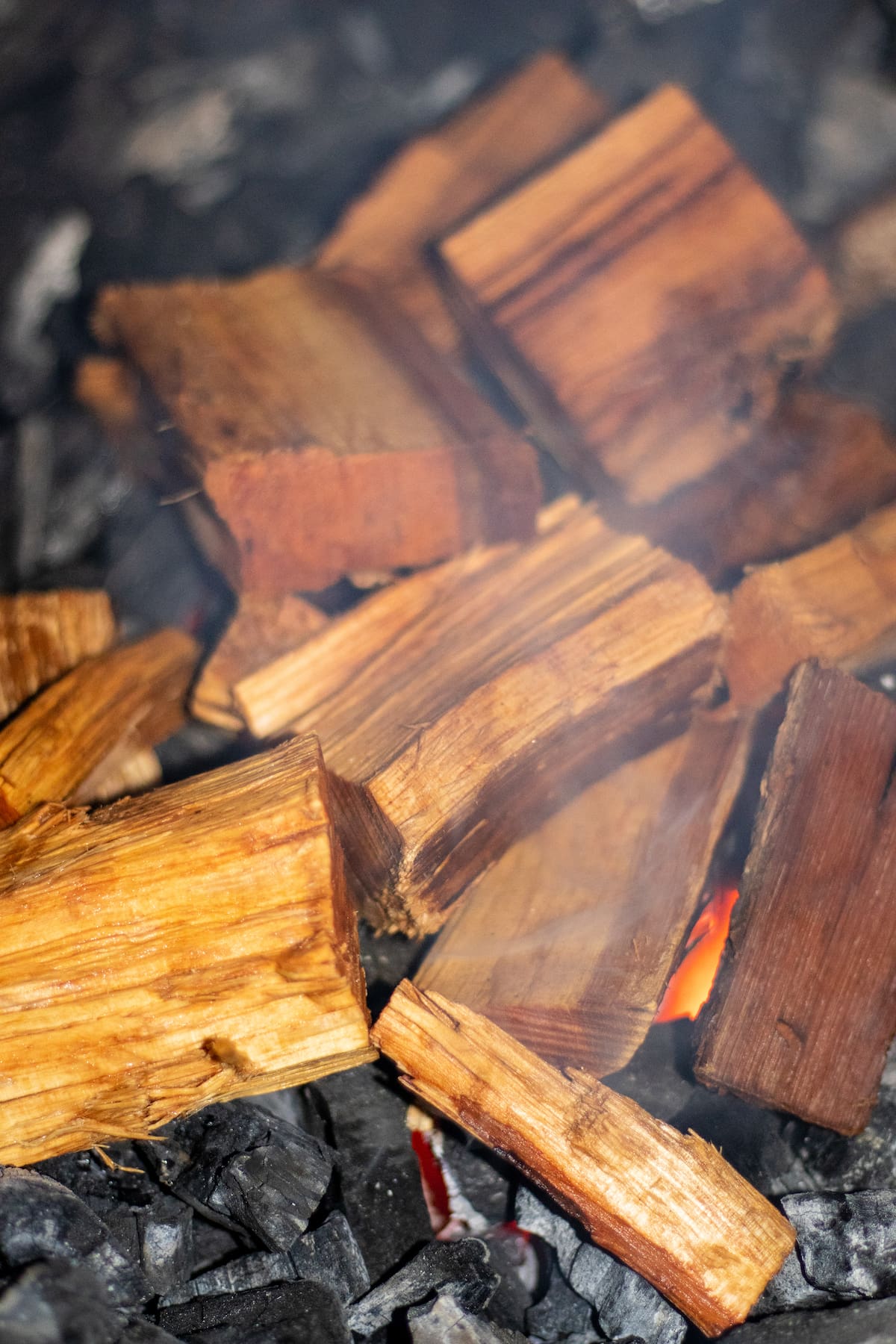 Wood chips close up on coals.